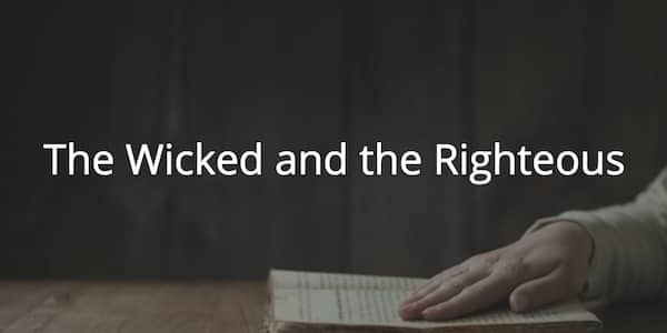 Proverbs 28: the Wicked and the Righteous