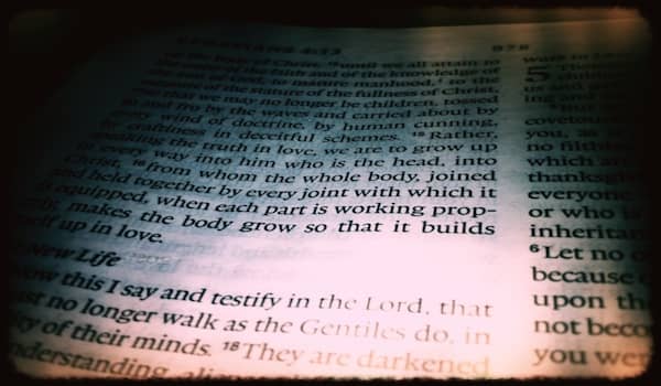 Ephesians 4:16 Text