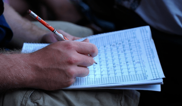 Your Team - Looking Up Statistics