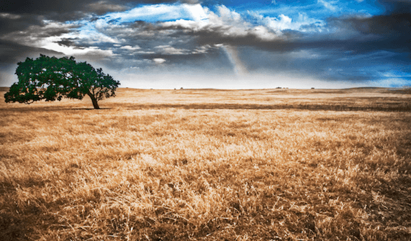 3 Steps to Avoid Limitations