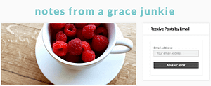 Notes From A Grace Junkie - Mike Mobley Web Consulting Services Notes From A Grace Junkie