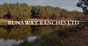 Runaway Ranches - Mike Mobley Web Consulting Services